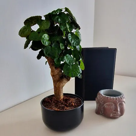 アパート Grand - 5 Star Luxury